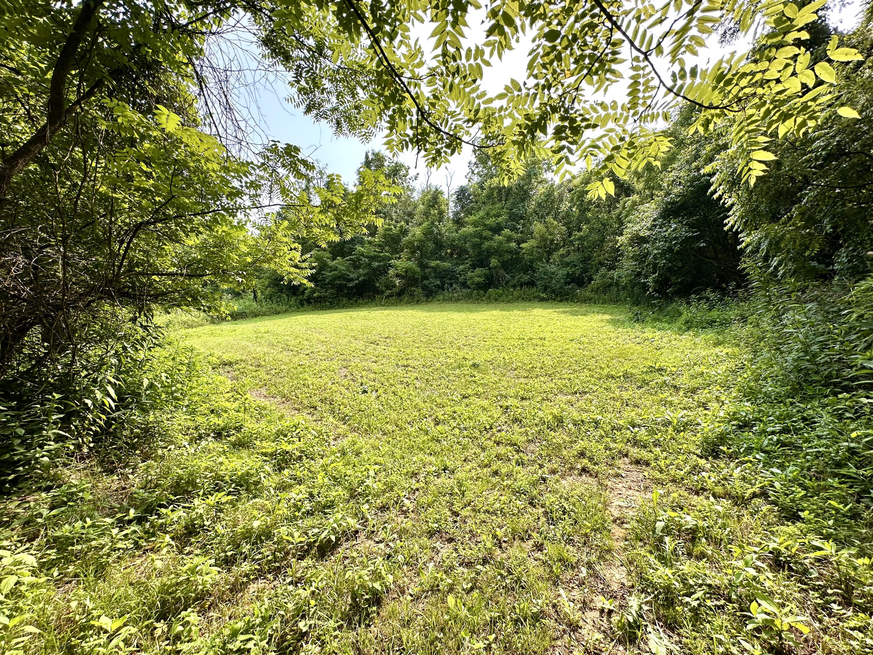 1 A Concord Road Carlisle, KY 40311 - Photo 2 of 16 IMG_2178