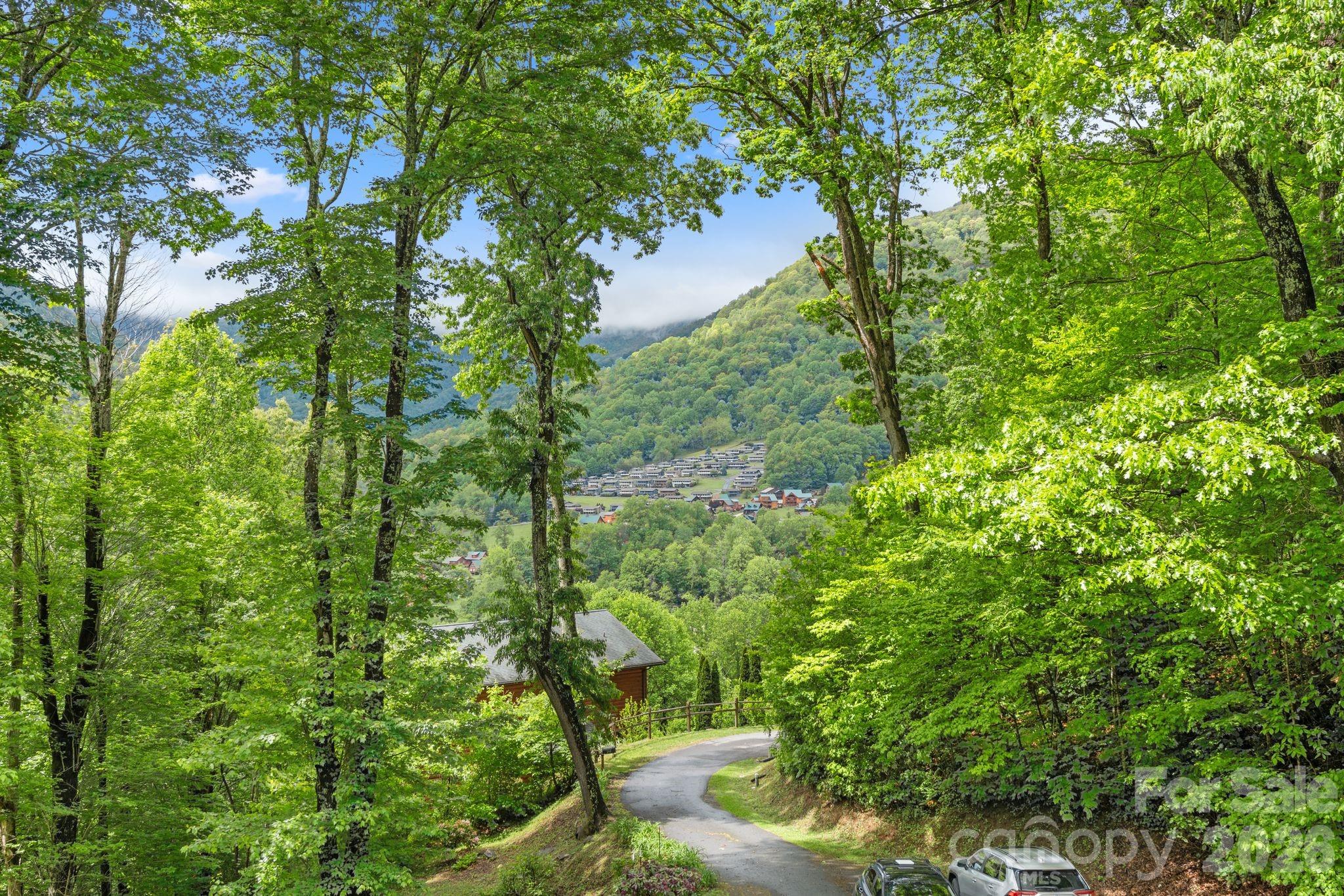 140 Slim Ridge Maggie Valley, NC 28751 - Photo 24 of 33