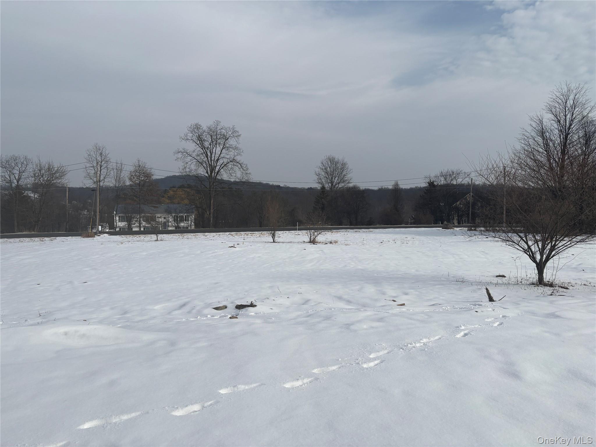 75 Delmar Hill Road Slate Hill, NY 10973 - Photo 3 of 23 a view of a yard