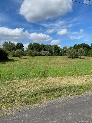 an empty room with wooden floor a fireplace and windows