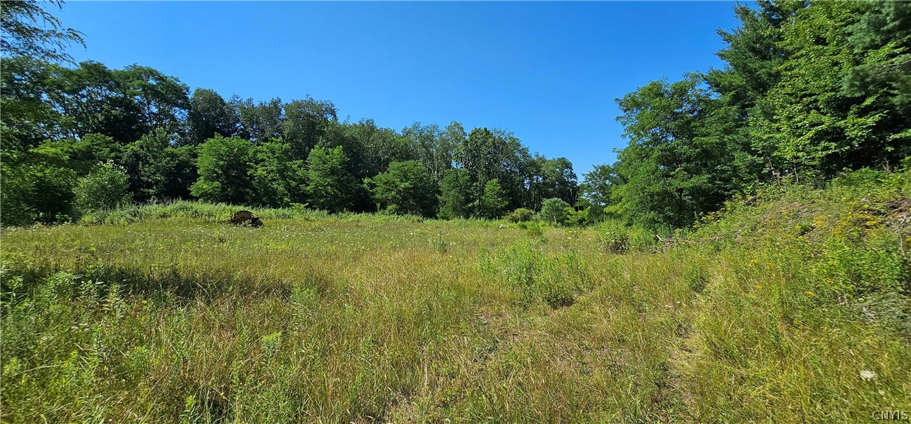 Hilton Road Dryden, NY 13053 - Photo 3 of 12 Gallery Image 3
