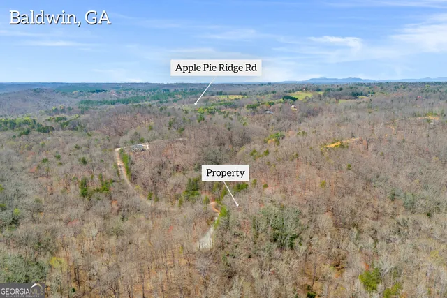 a view of sign board