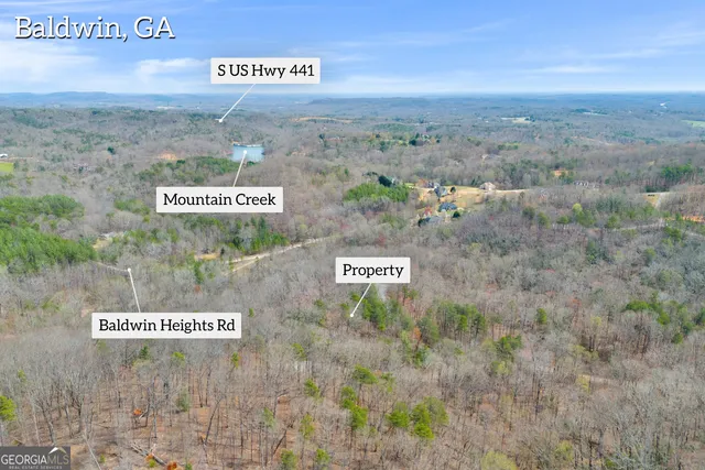 a sign that is sitting on a tree