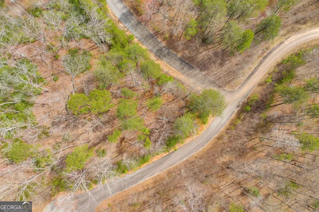 a view of a yard with plants