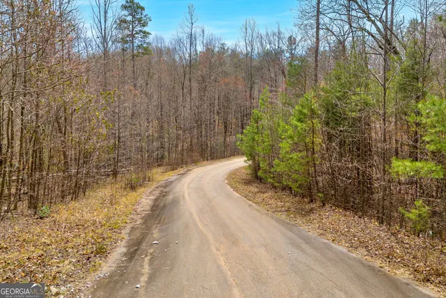 a view of a backyard of the house
