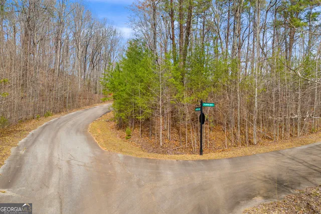 a view of a backyard of the house