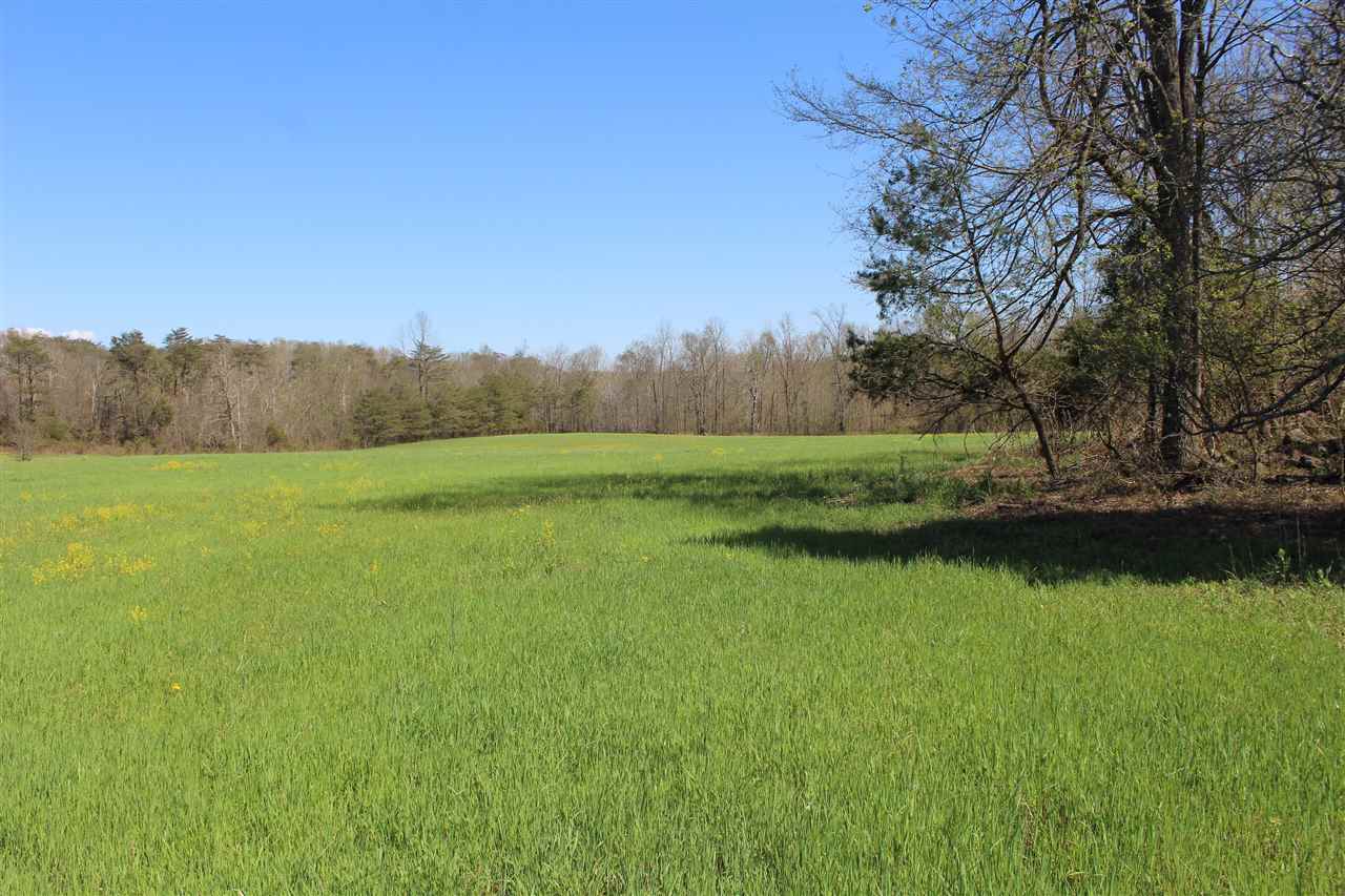 83 Long Fall Road Cub Run, KY 42729 - Photo 11 of 32 Gallery Image 11