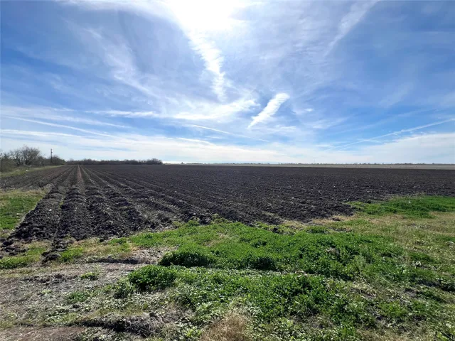 a view of a big yard with lots of green space
