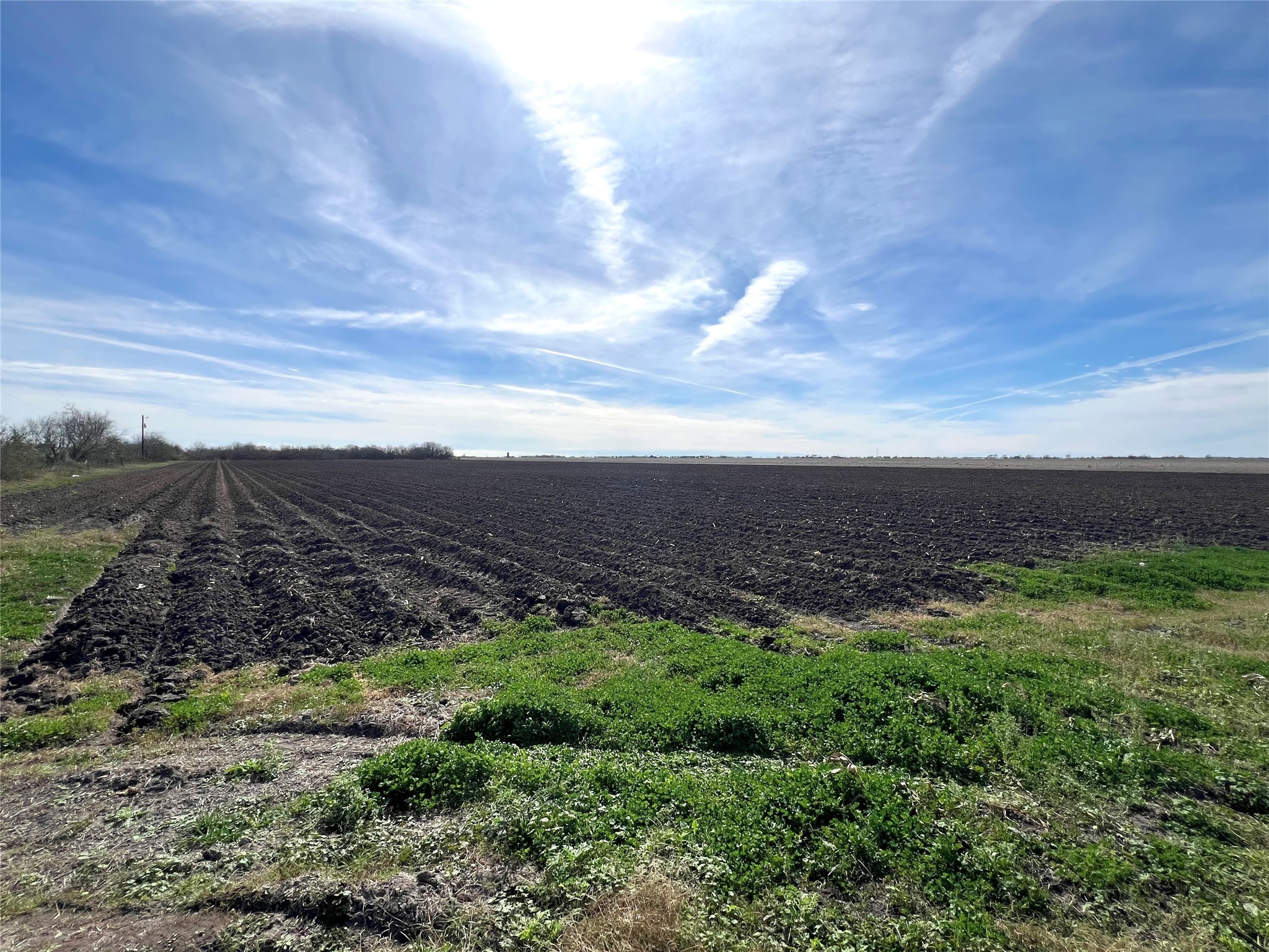 0 Fm-961 Wharton, TX 77488 - Photo 3 of 6 a view of a big yard with lots of green space