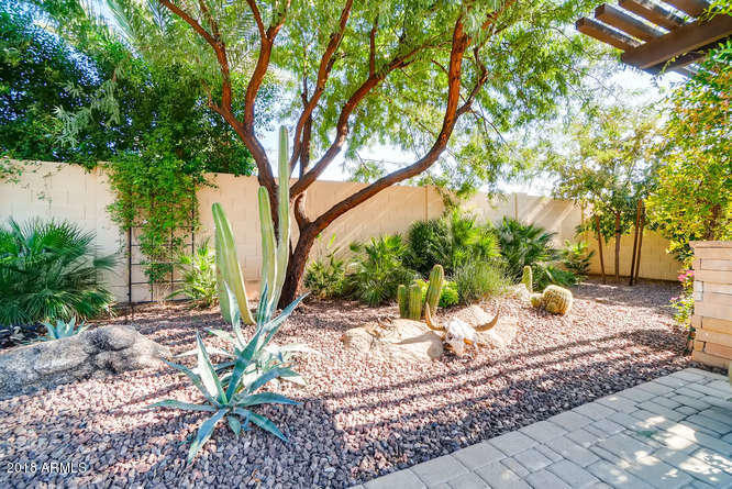 4647 North Aldea Road East Litchfield Park, AZ 85340 - Photo 31 of 31 Backyard