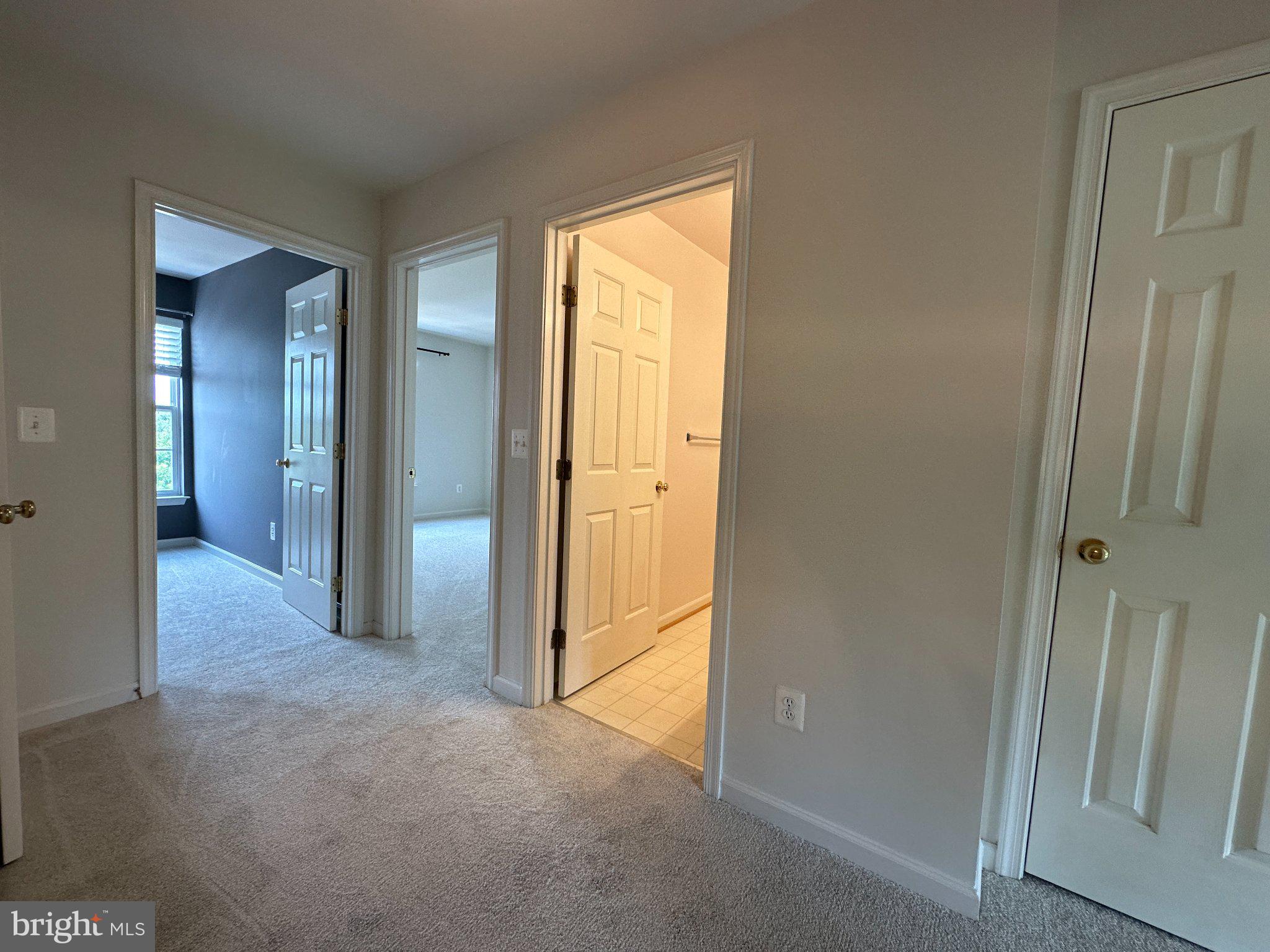 43395 Allisons Ridge Terrace Ashburn, VA 20148 - Photo 18 of 32 Inviting hallways lead to serene spaces.