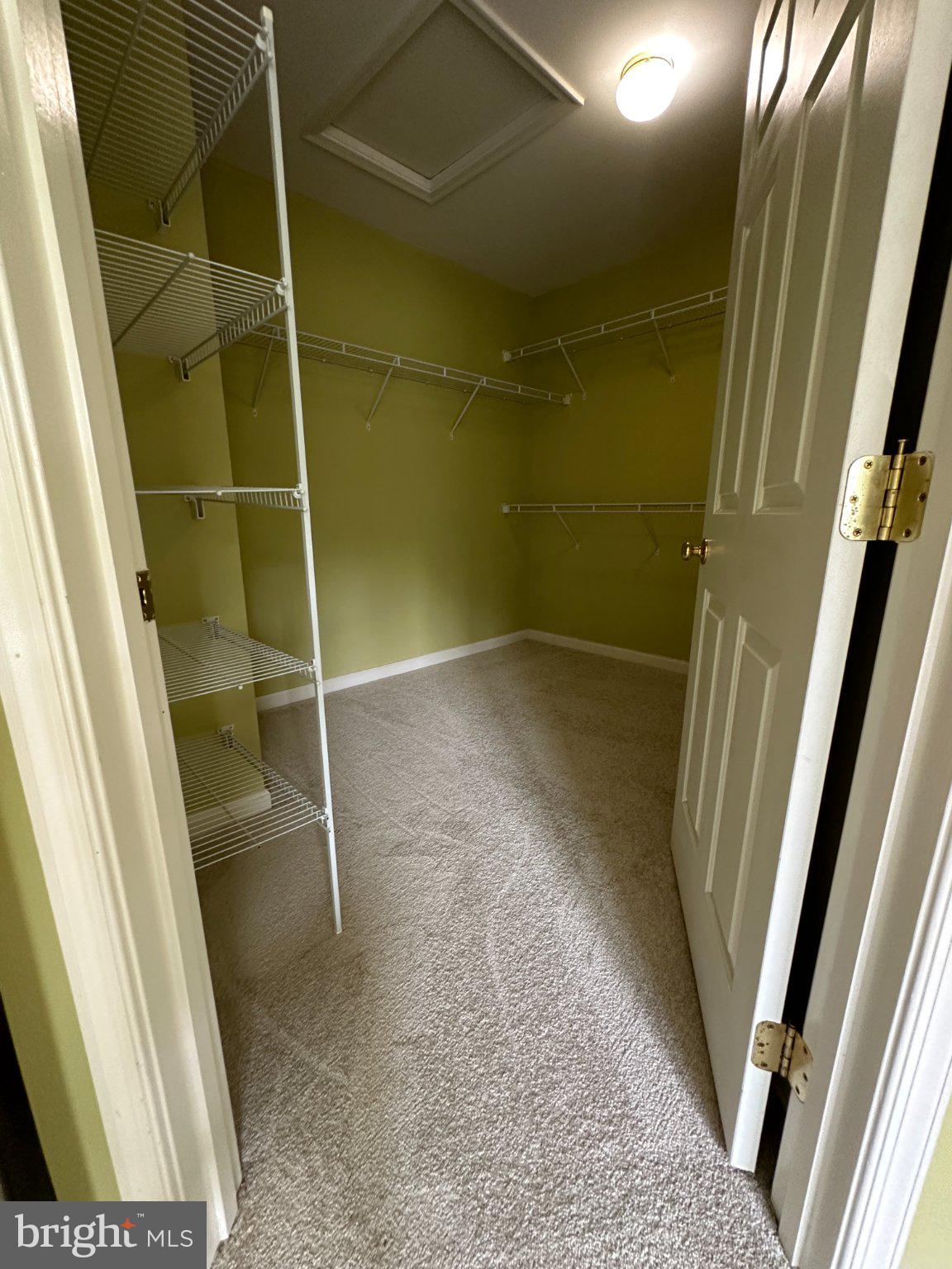 43395 Allisons Ridge Terrace Ashburn, VA 20148 - Photo 22 of 32 Spacious closet with fresh green walls.