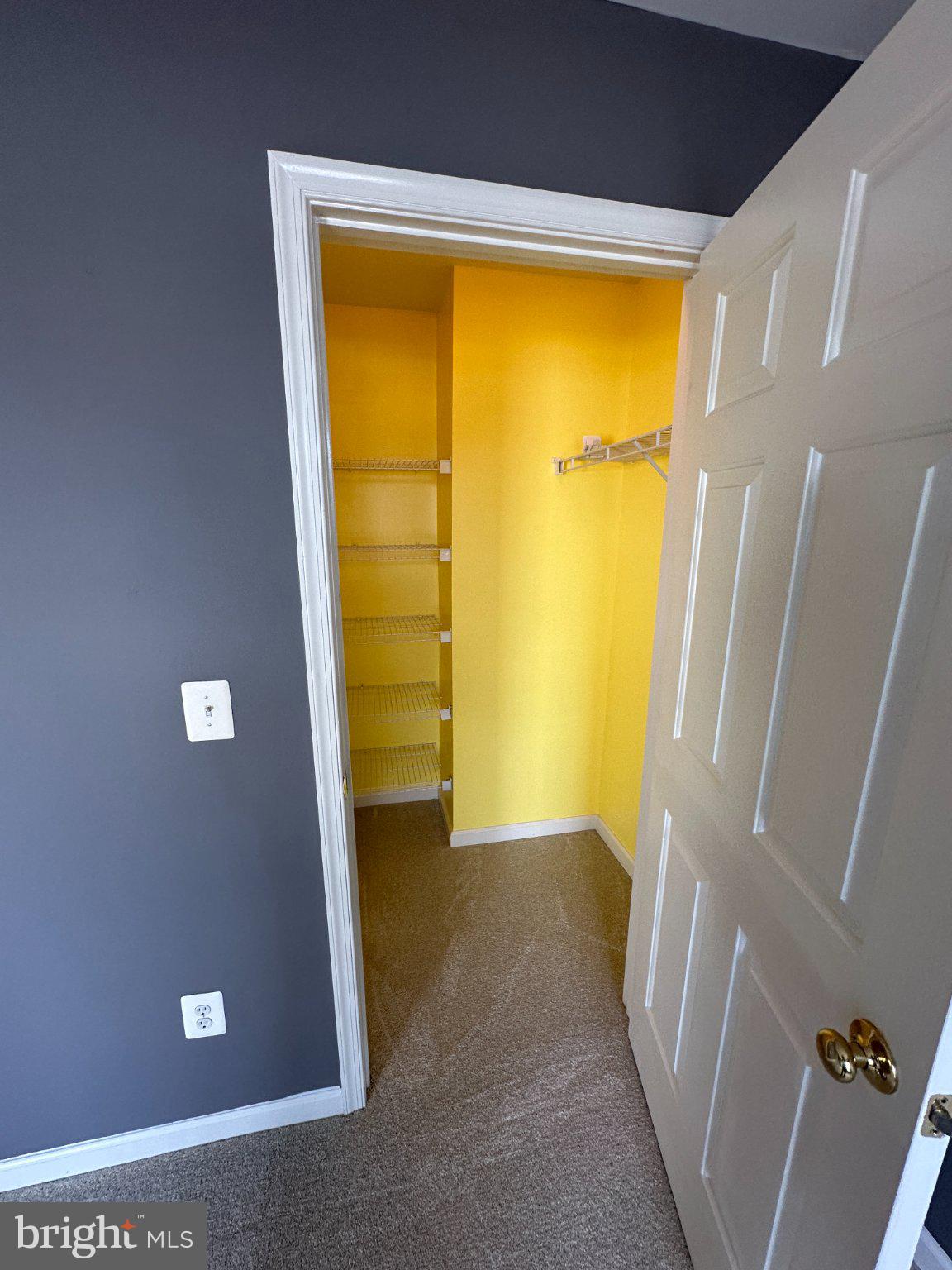 43395 Allisons Ridge Terrace Ashburn, VA 20148 - Photo 28 of 32 Bright closet with cheerful yellow walls.