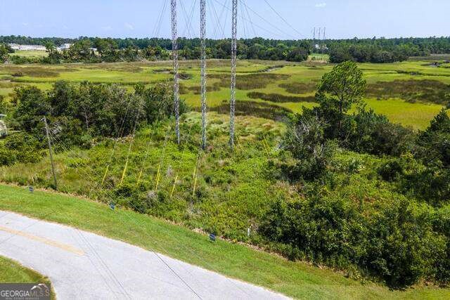Lot 5 Dufour Rd Street St. Marys, GA 31558 - Photo 4 of 13