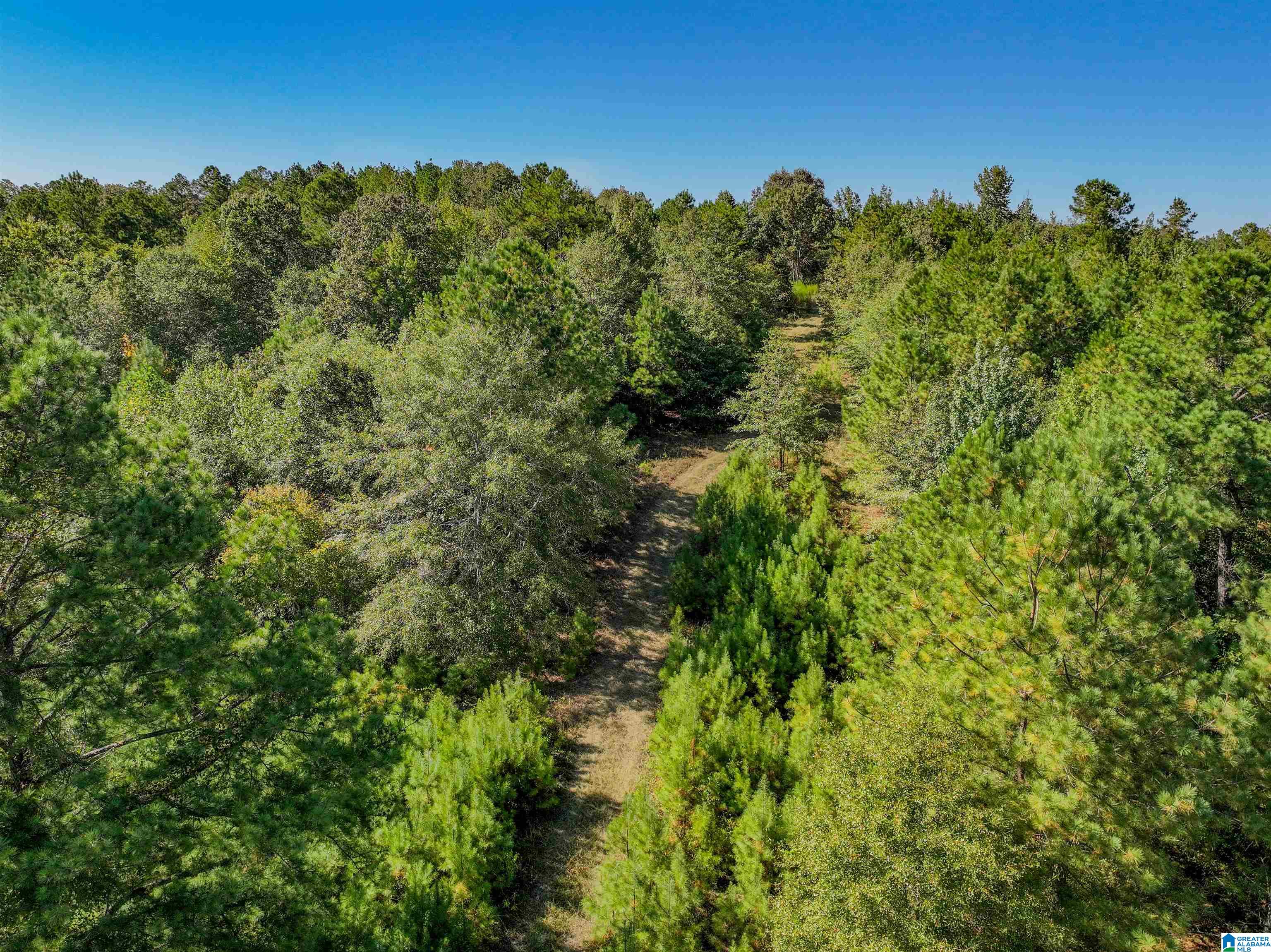 0 Rockyview Road West Blocton, AL 35184 - Photo 13 of 13