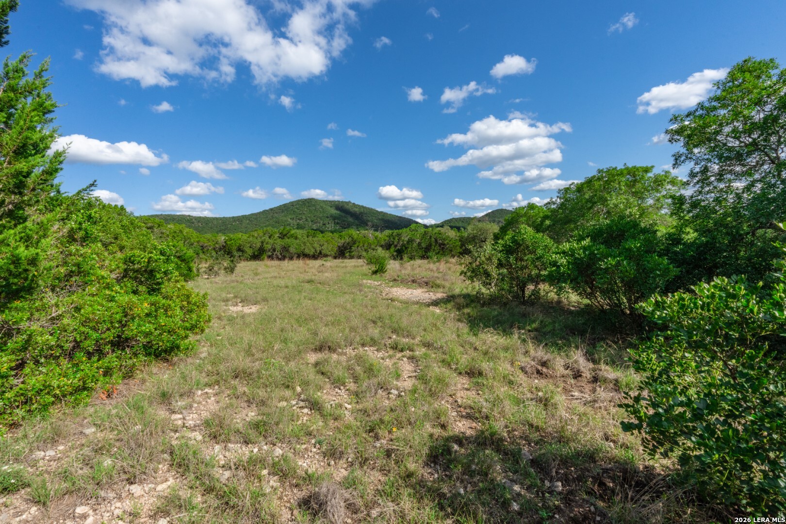 992 Bunk Road Utopia, TX 78884 - Photo 22 of 47