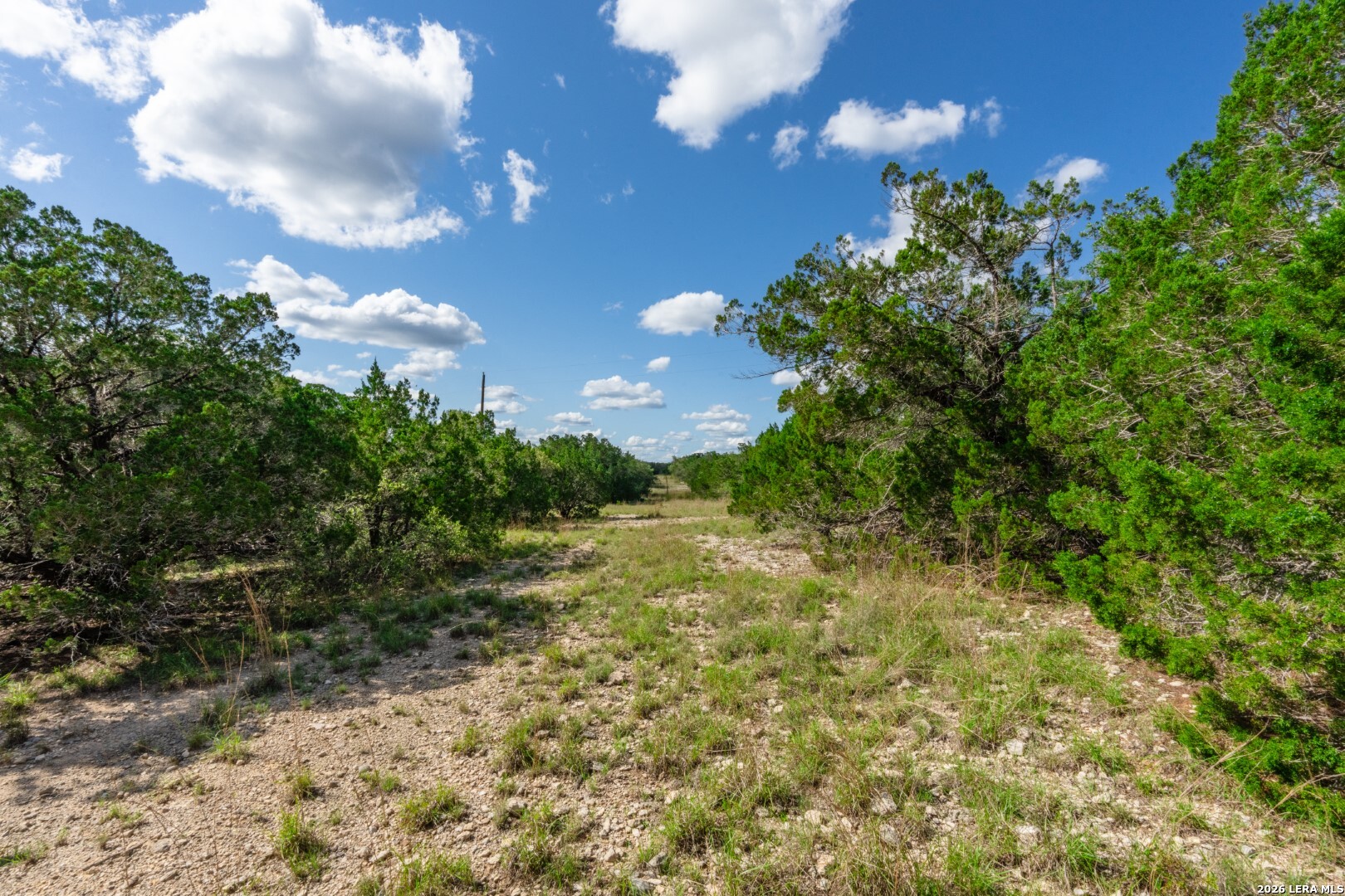 992 Bunk Road Utopia, TX 78884 - Photo 41 of 47