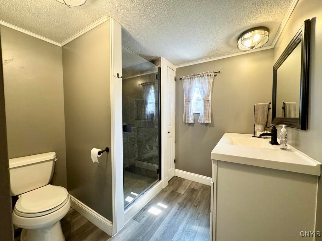 8595 County Route 97 Adams, NY 13605 - Photo 5 of 22