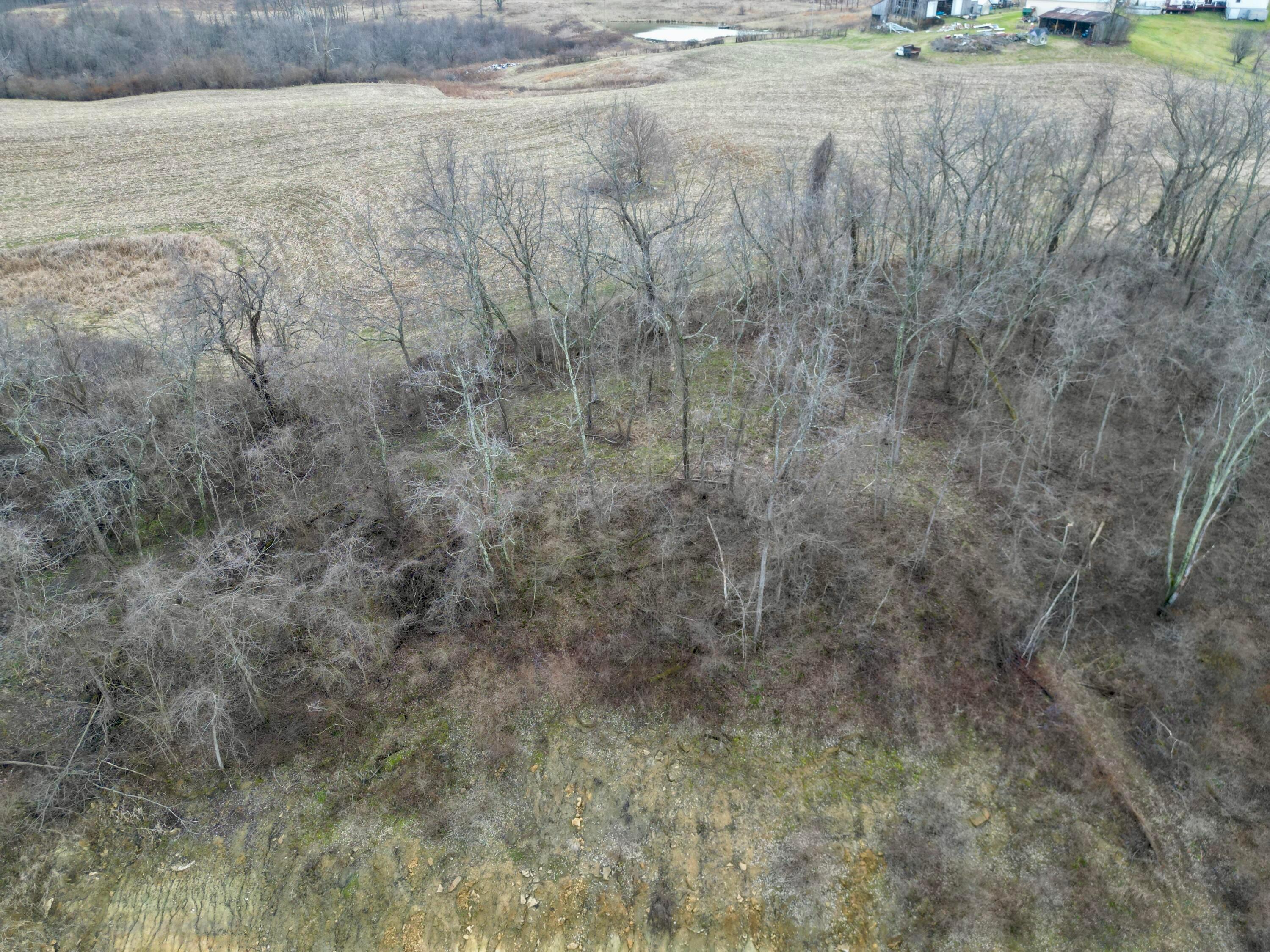8660 Rural Dale Road Blue Rock, OH 43720 - Photo 52 of 54 dji_fly_20260306_150528_755_177285014429