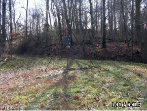 801 Narrow Run Road Sistersville, WV 26175 - Photo 4 of 10 Field w Deer Feeder