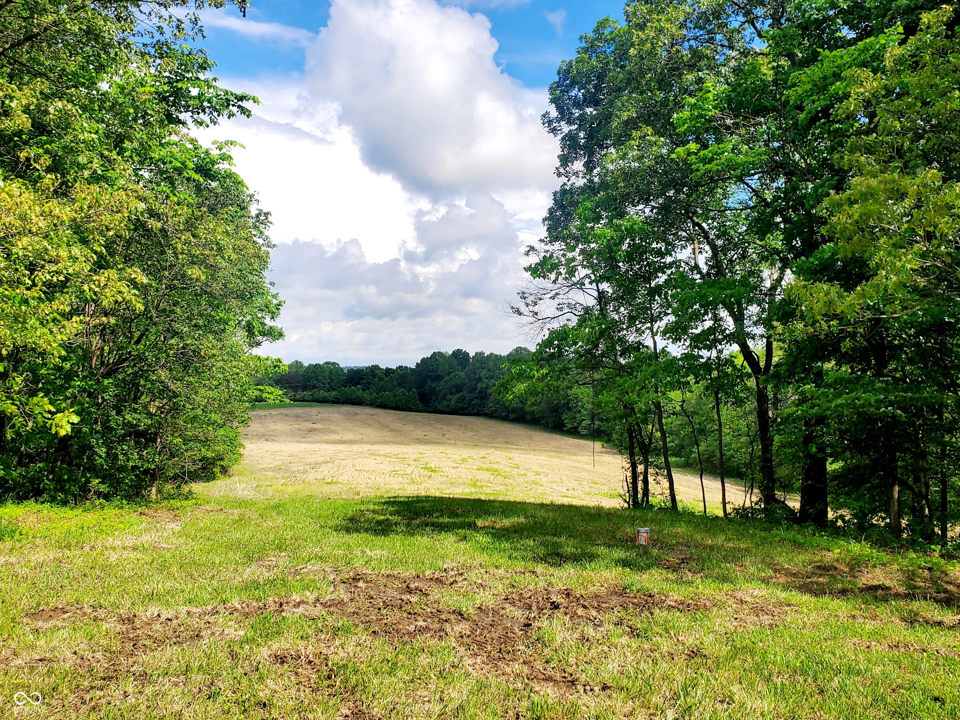 23838 Graded Road Williams, IN 47470 - Photo 2 of 44