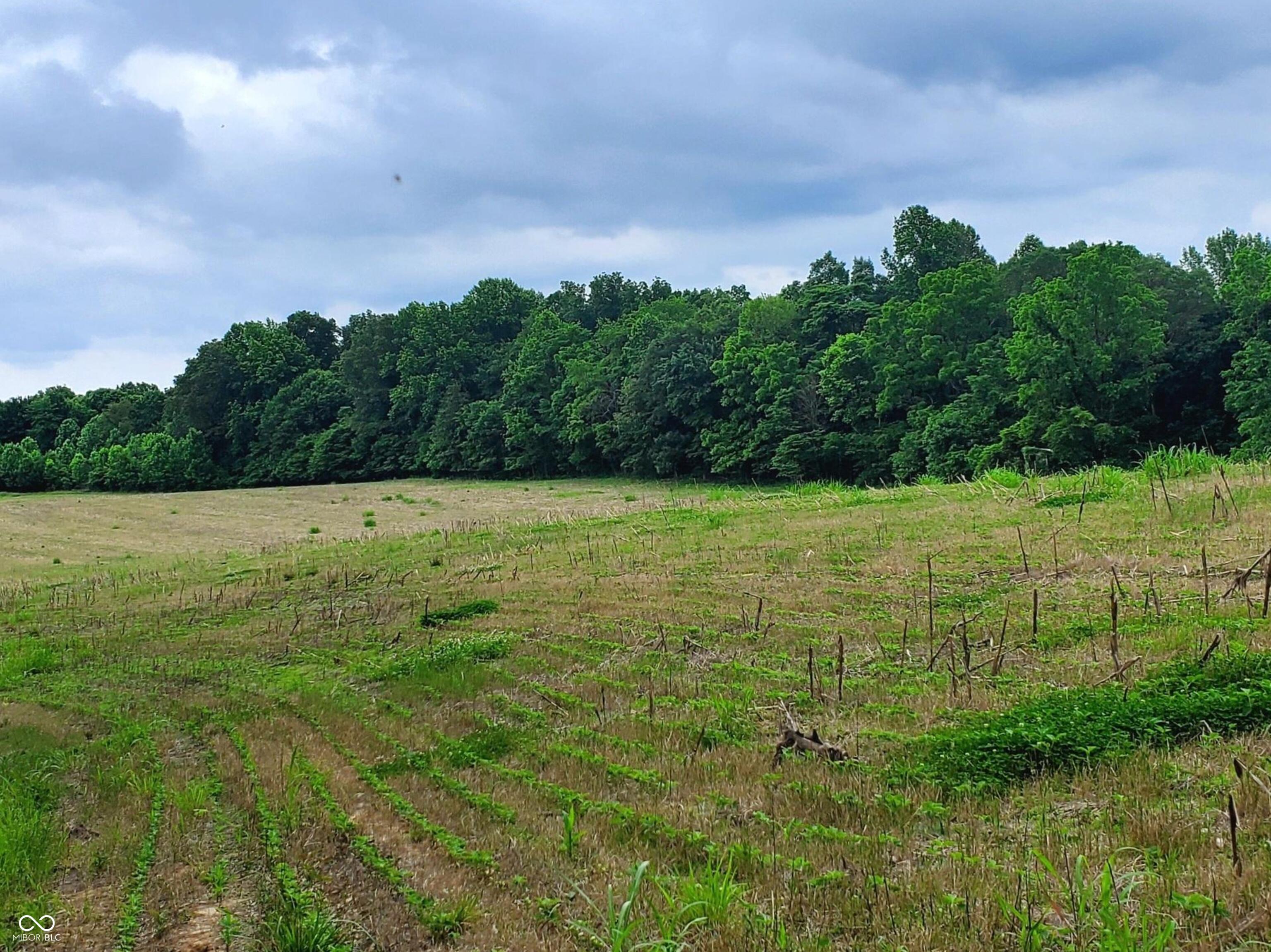 23838 Graded Road Williams, IN 47470 - Photo 8 of 44
