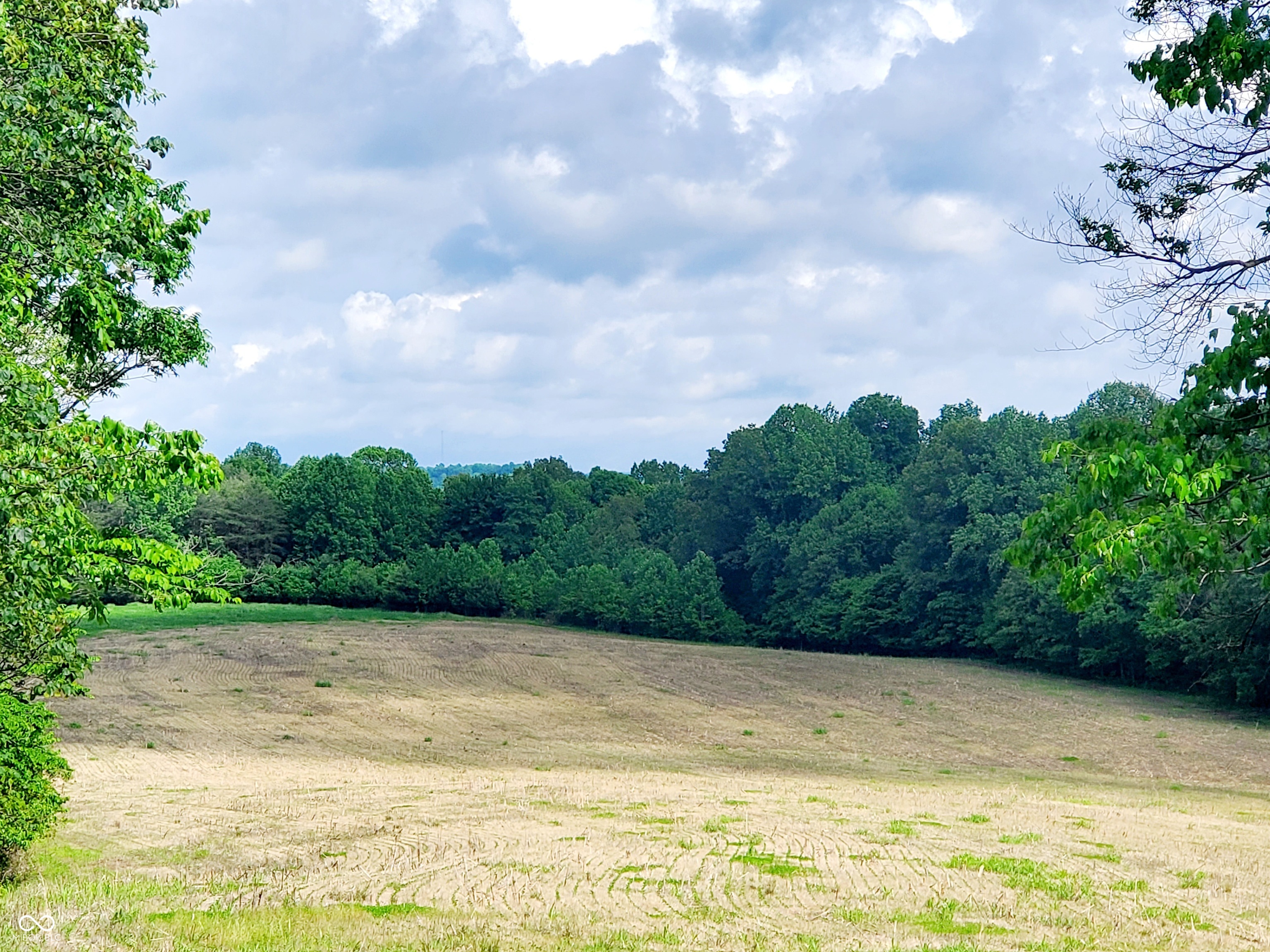 23838 Graded Road Williams, IN 47470 - Photo 9 of 44