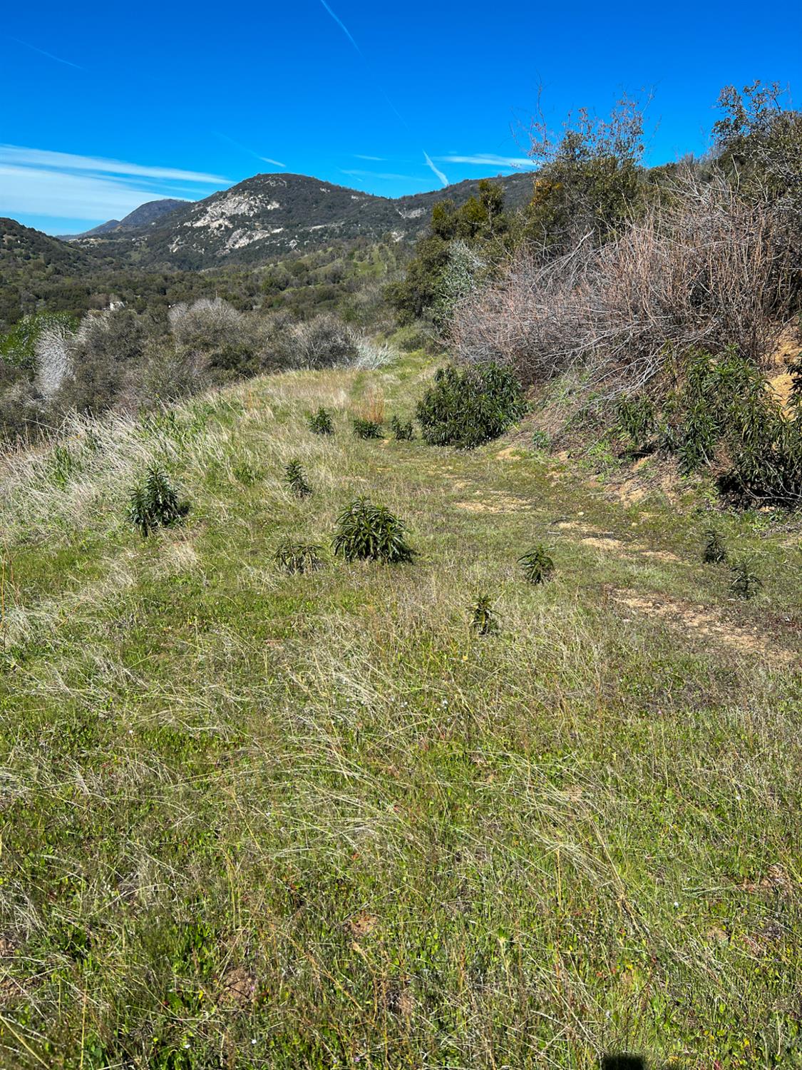 44981 Todd Eymann Road Dunlap, CA 93621 - Photo 72 of 74 Gallery Image 72