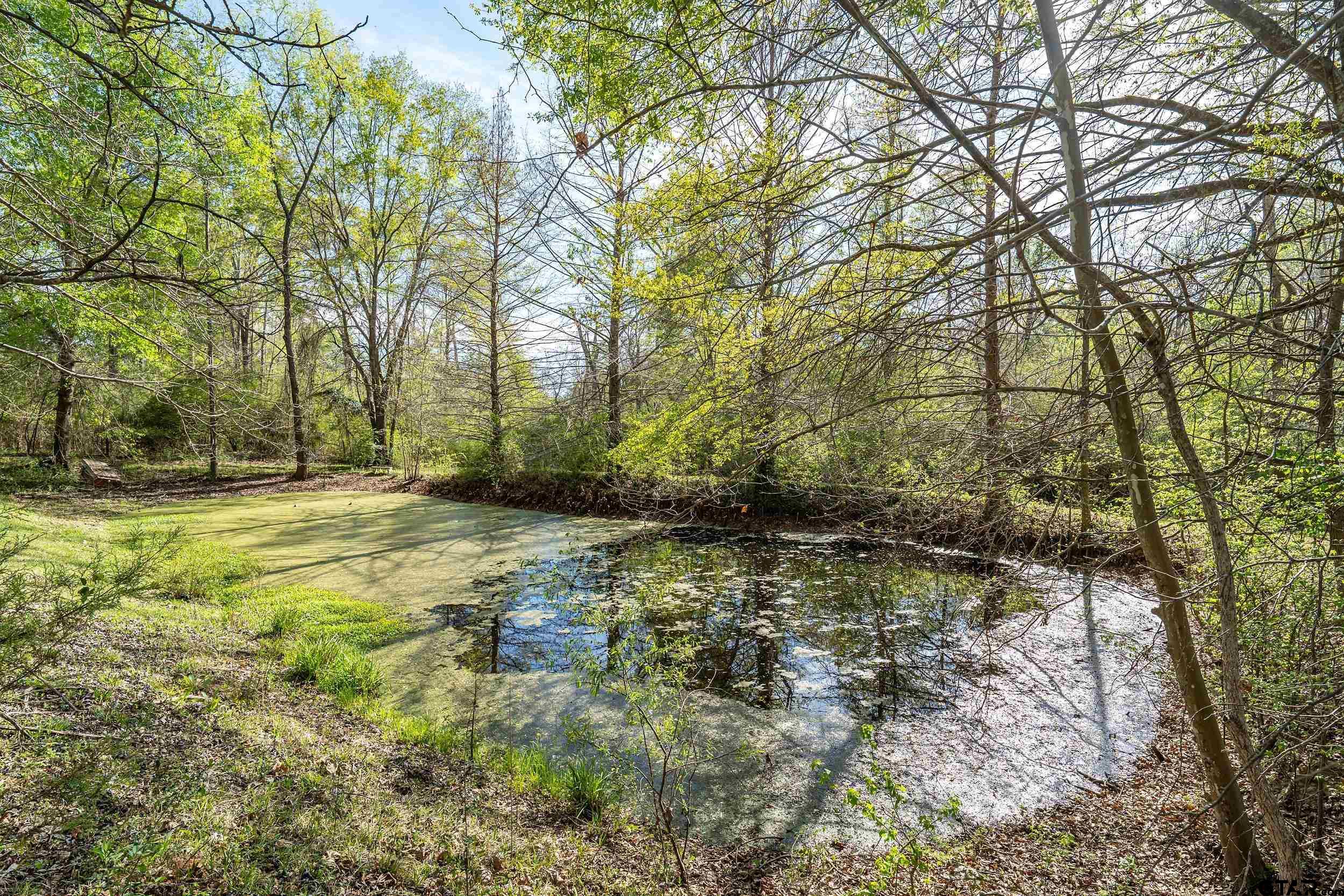 18716 Oakbrook Road Tyler, TX 75703 - Photo 37 of 44