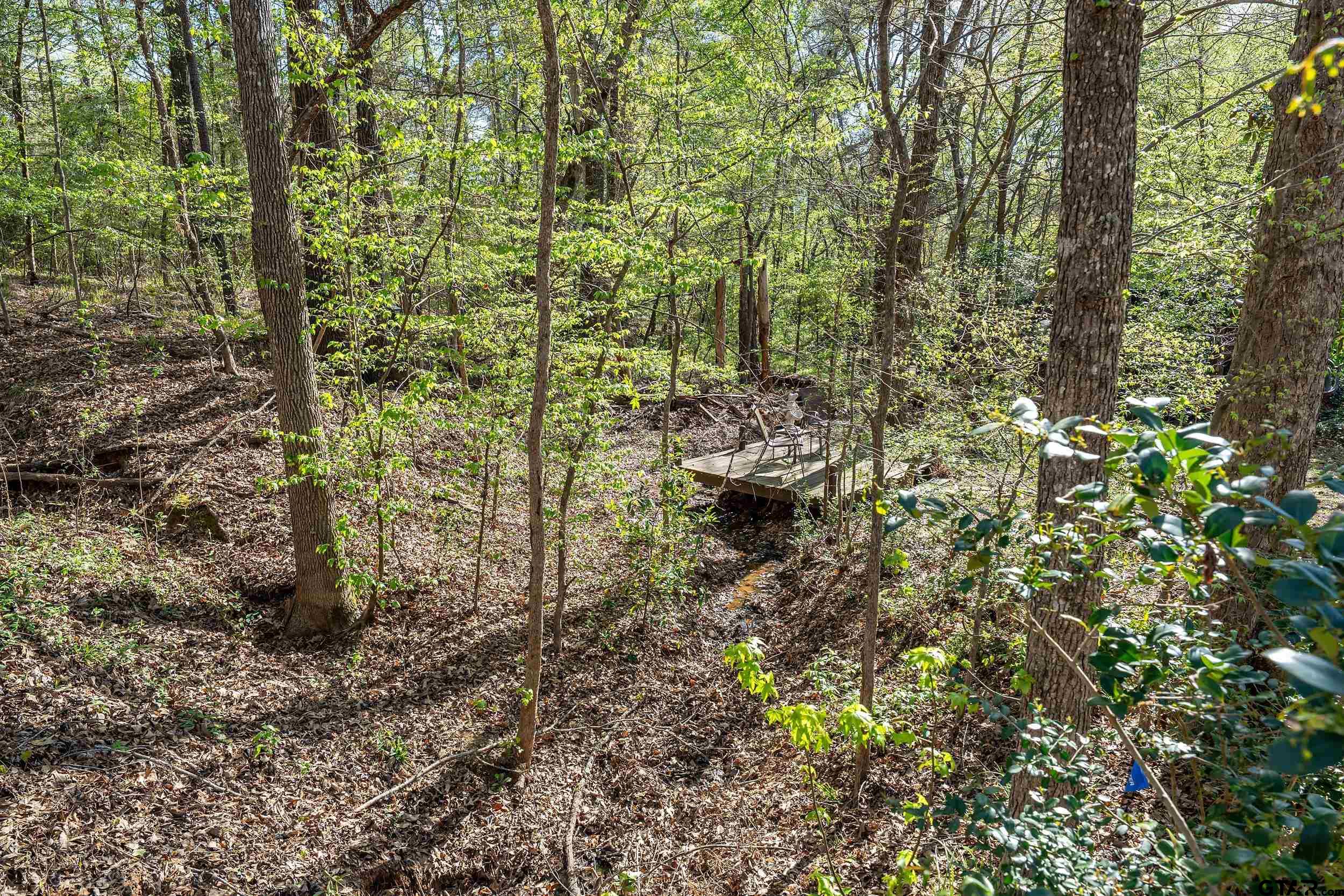 18716 Oakbrook Road Tyler, TX 75703 - Photo 39 of 44