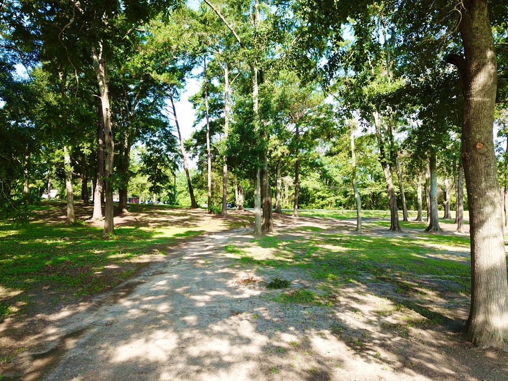 103 Slocomb Al Slocomb, AL 36375 - Photo 42 of 63