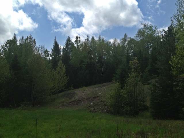 5283 Axelson Road Three Lakes, WI 54562 - Photo 6 of 17 Gallery Image 6