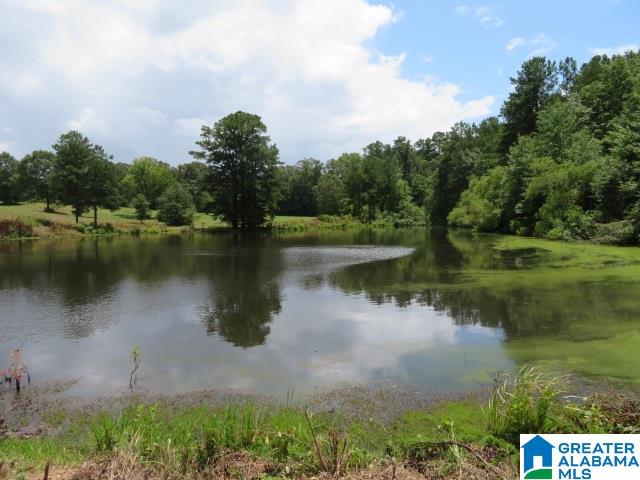 20025 Booler Road Vance, AL 35490 - Photo 45 of 48