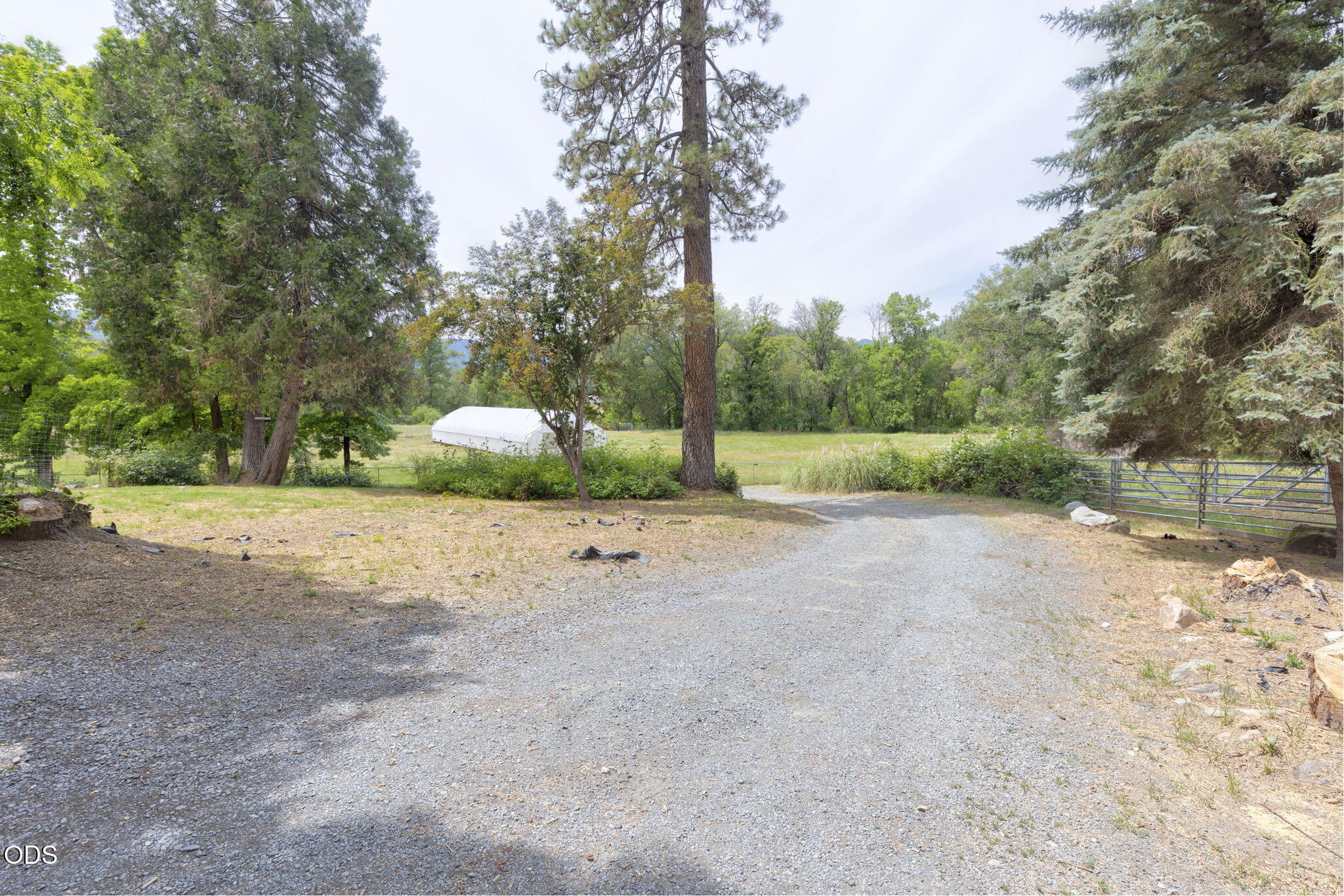 782 Covered Bridge Road Rogue River, OR 97537 - Photo 4 of 54