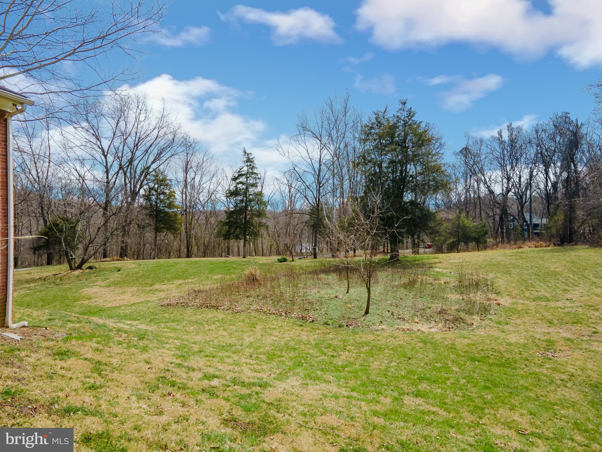 564 Steamboat Run Road Shepherdstown, WV 25443 - Photo 58 of 74