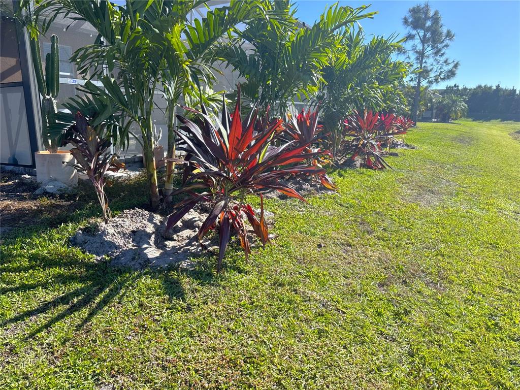 8545 Cache Drive Sarasota, FL 34240 - Photo 29 of 38 a view of a backyard of the house