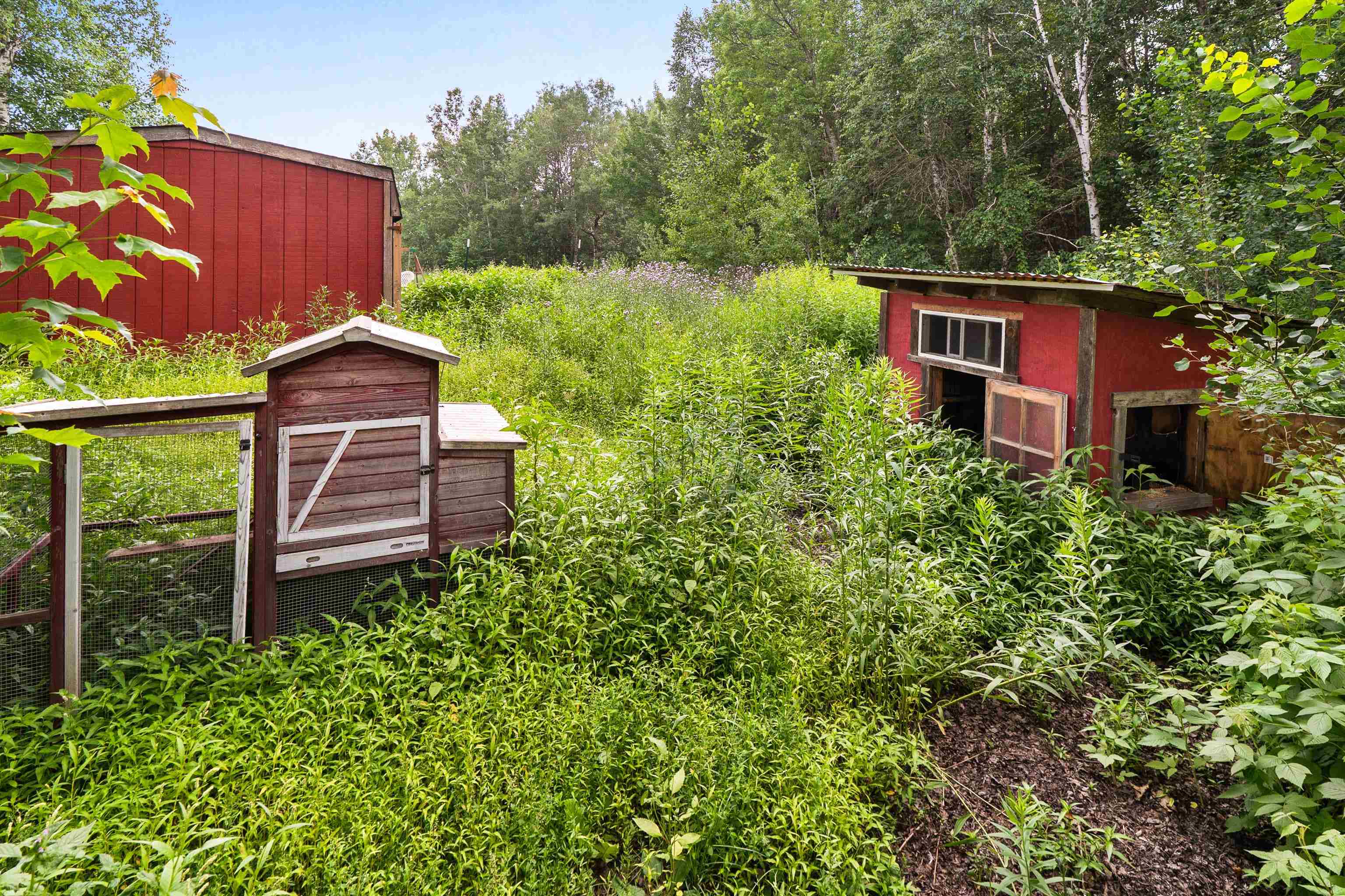 35 Flynn Street Esko, MN 55733 - Photo 38 of 41