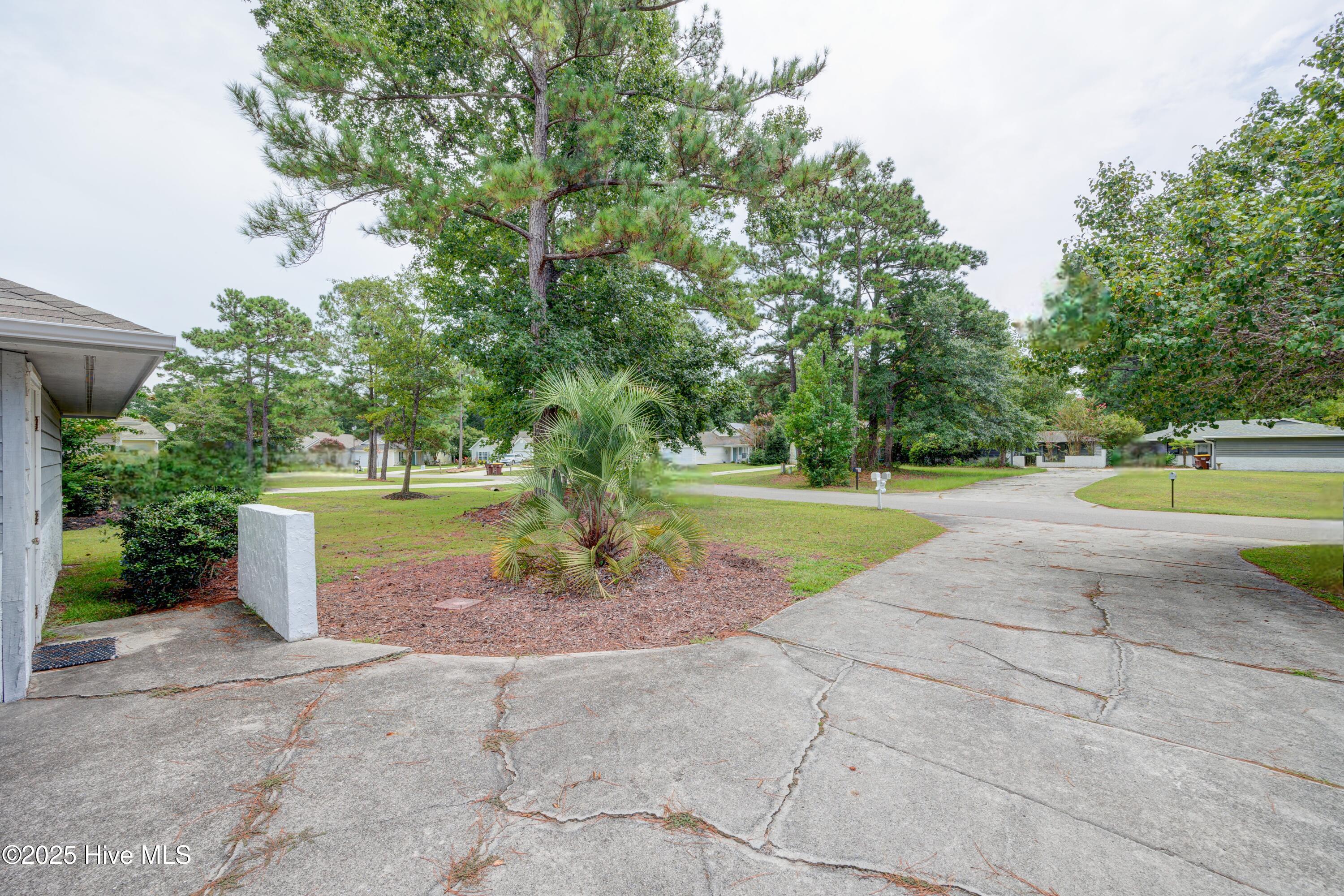103 Holly Tree Lane Hampstead, NC 28443 - Photo 3 of 36 Standing in Drive