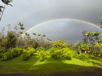 $419,000 | 16-1598 Uau Road, Kurtistown, HI 96760