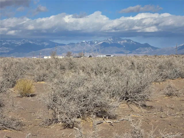 a view of a dry yard