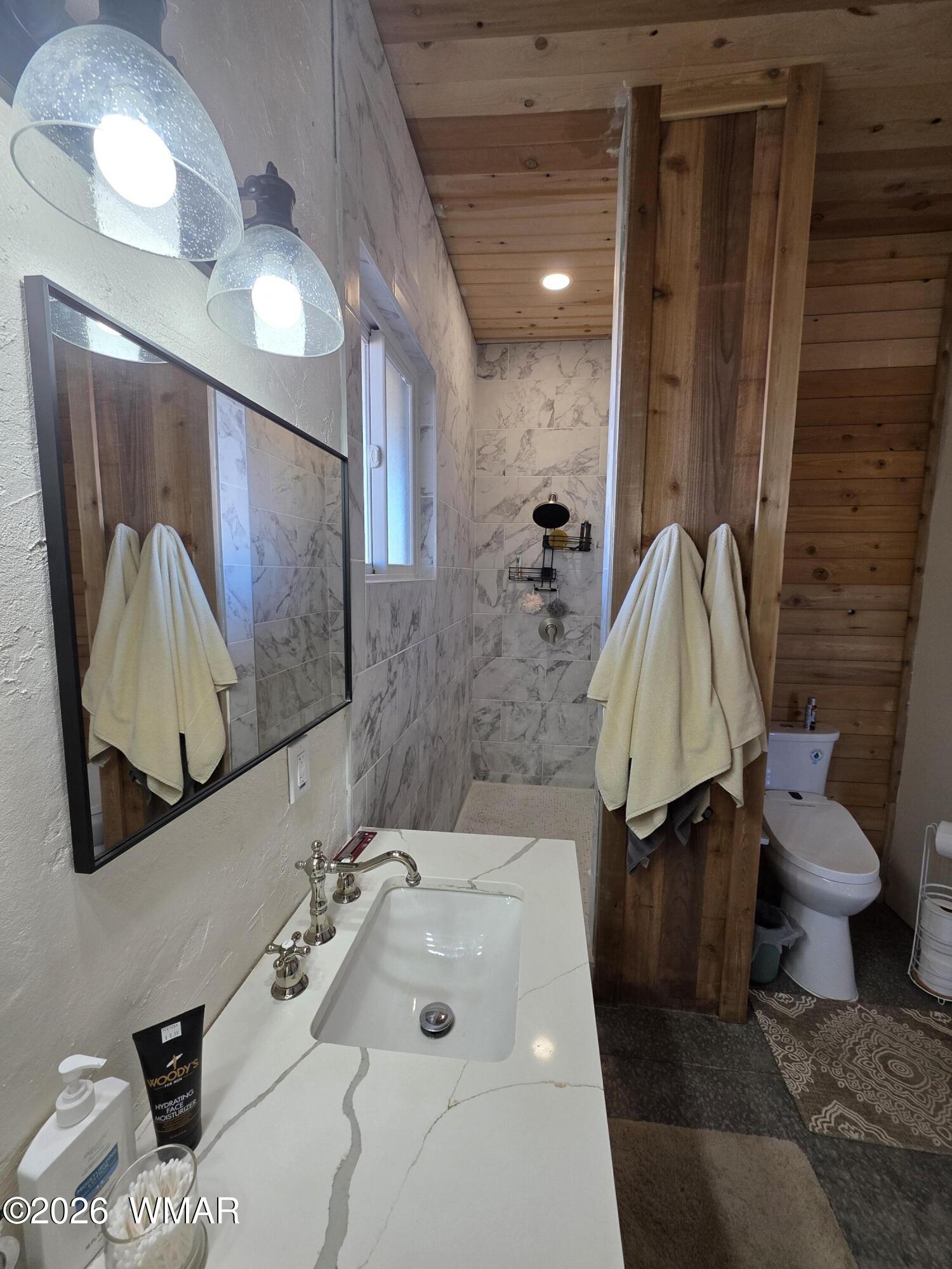 5057 Churchill Road Snowflake, AZ 85937 - Photo 65 of 115 a bathroom with a sink vanity mirror and toilet