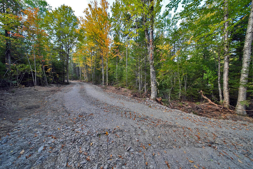 Off Lot 25 Off Road Smyrna Mills, ME 04780 - Photo 21 of 30 place-to-build-house-maine