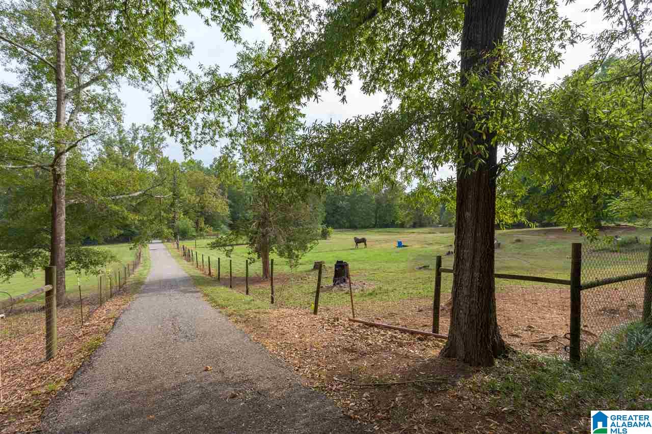 975 Refuge Road Ragland, AL 35131 - Photo 2 of 42