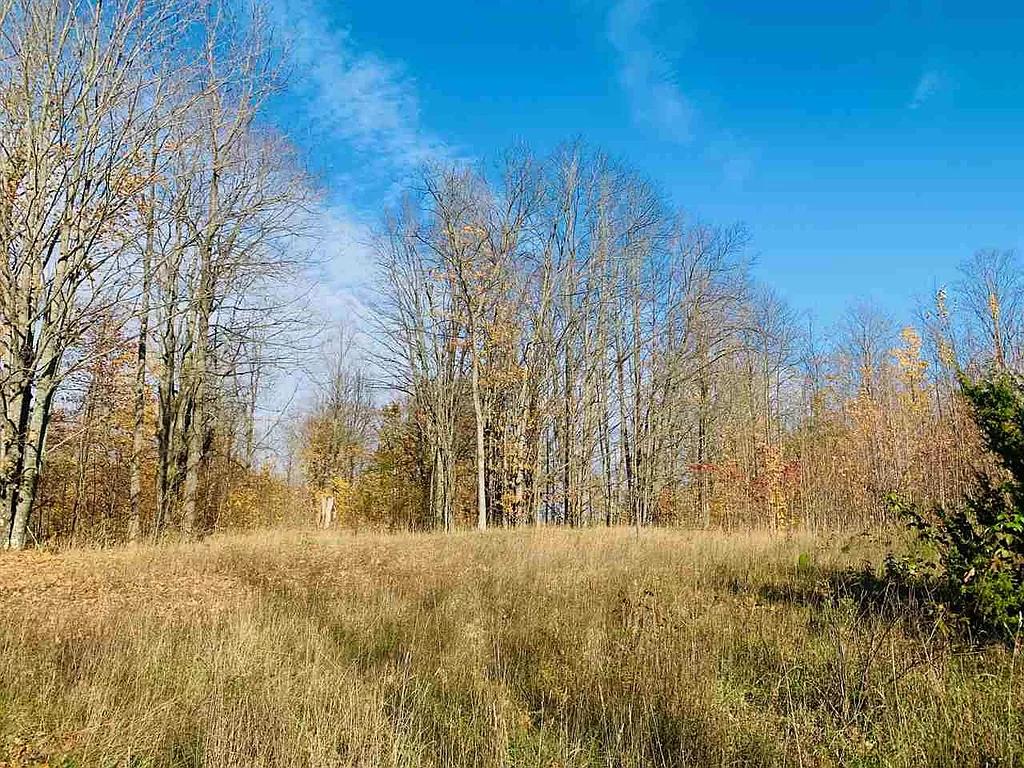 0 South Rogers Road East Jordan, MI 49727 - Photo 3 of 7 Gallery Image 3