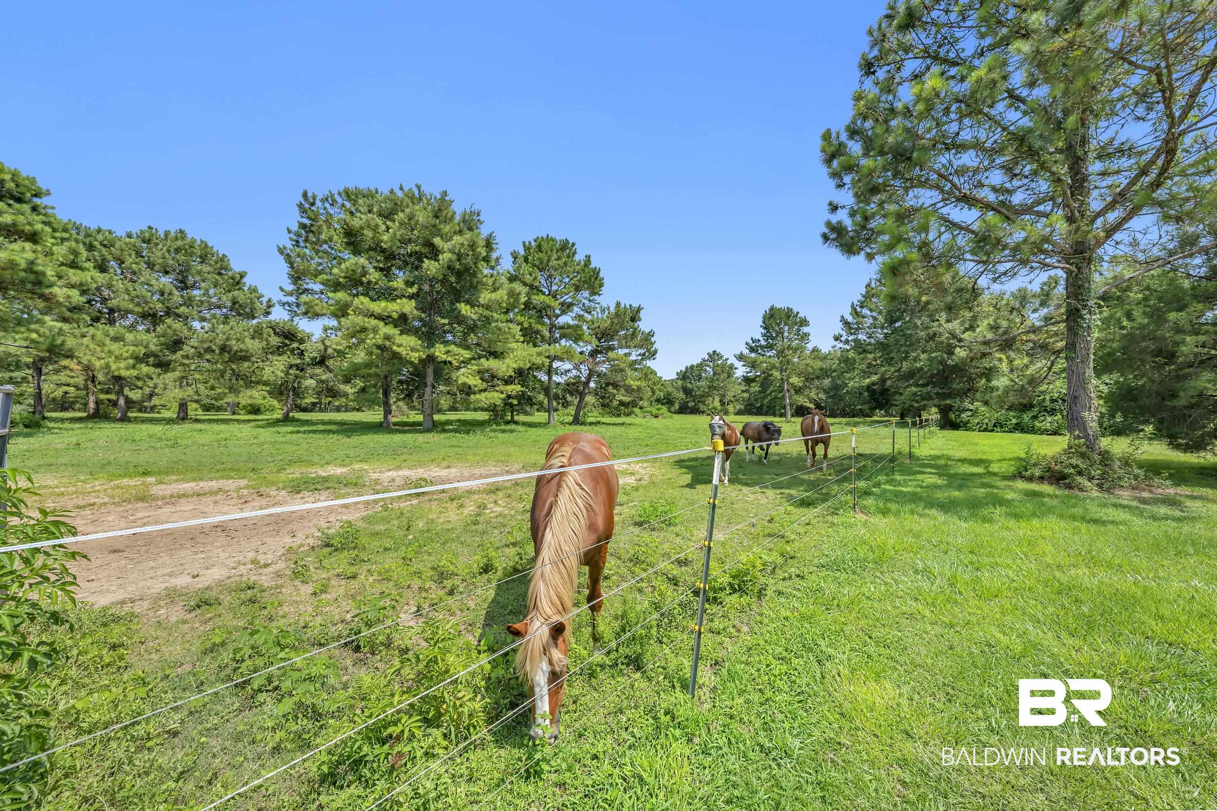 19792 Rada Road Silverhill, AL 36576 - Photo 21 of 22