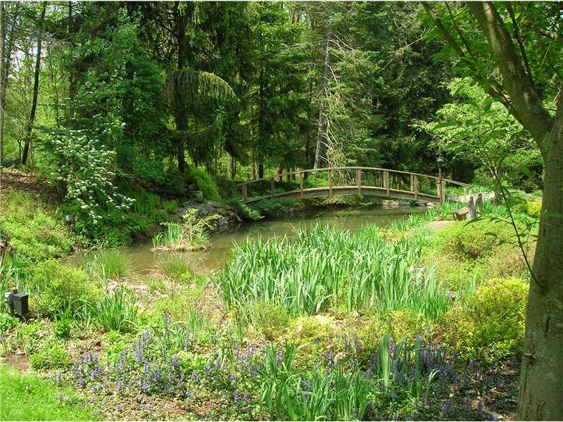 438 Weaver Mill Road Rector, PA 15677 - Photo 15 of 18 Yard/Garden.