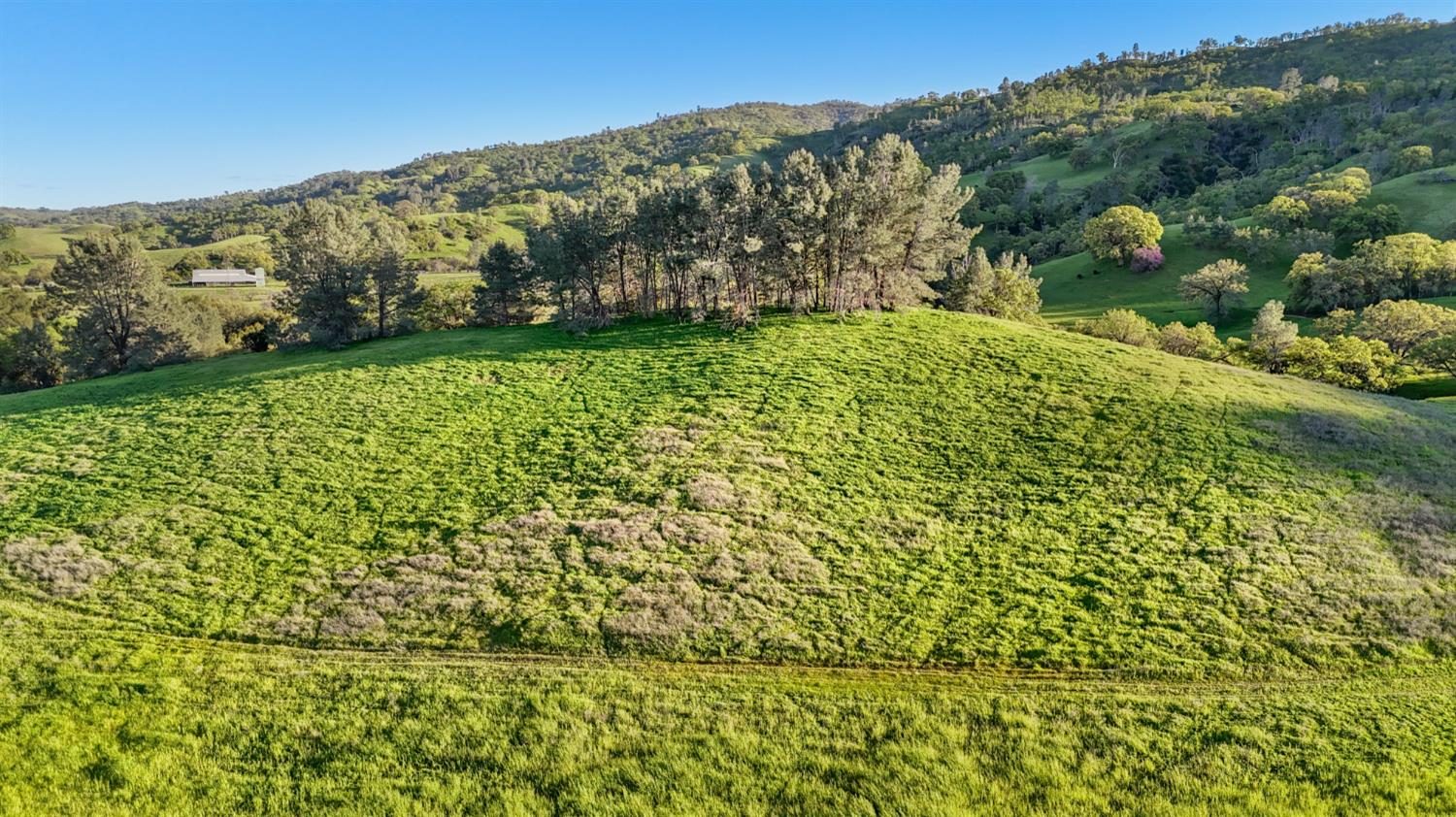 19890 County Road 79A Capay, CA 95607 - Photo 11 of 34