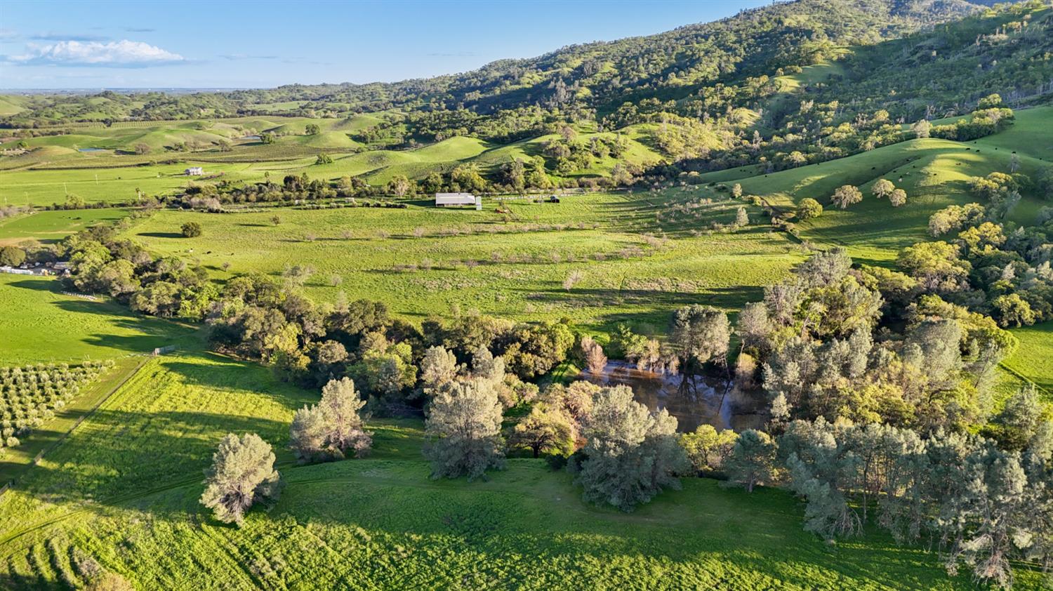 19890 County Road 79A Capay, CA 95607 - Photo 12 of 34