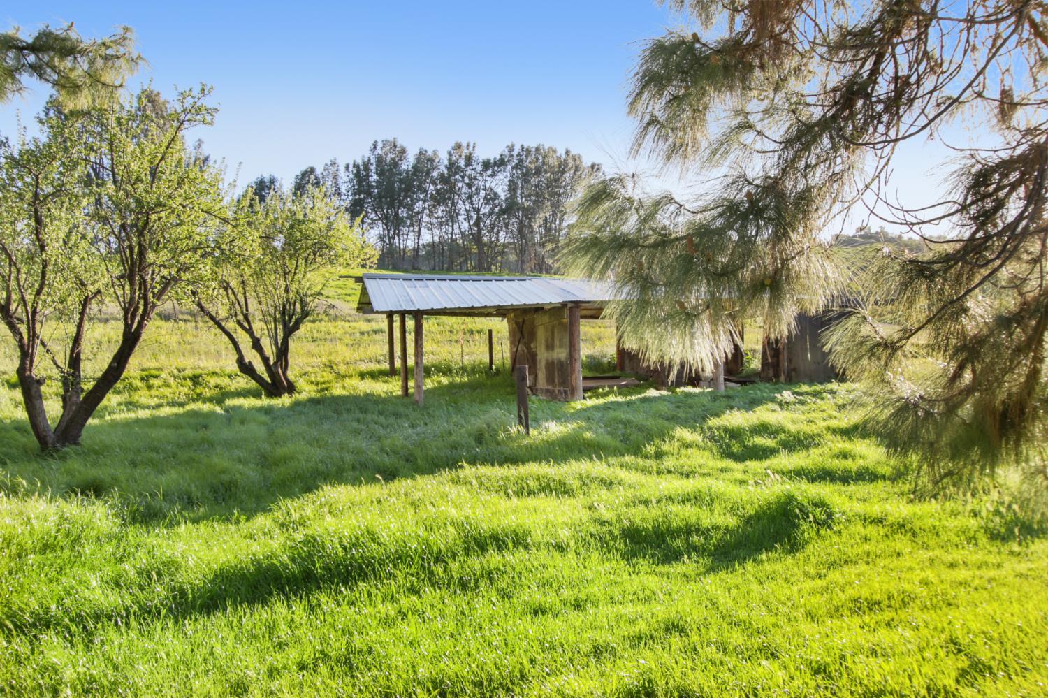 19890 County Road 79A Capay, CA 95607 - Photo 19 of 34