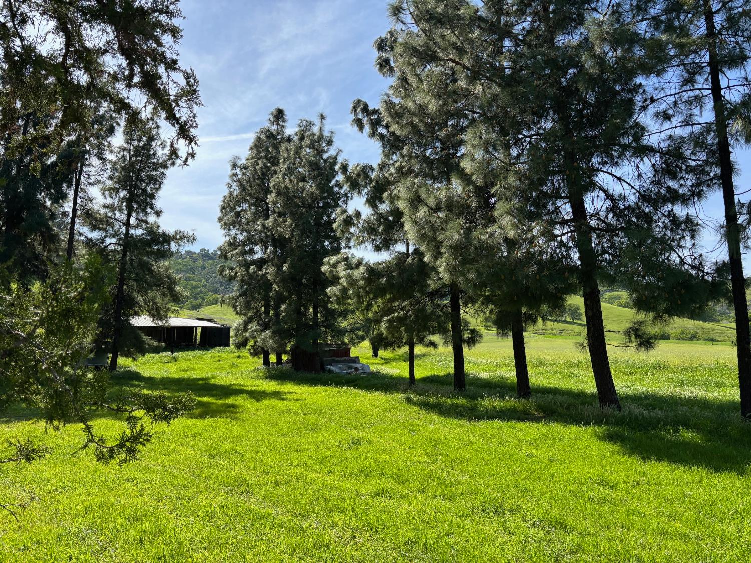 19890 County Road 79A Capay, CA 95607 - Photo 20 of 34